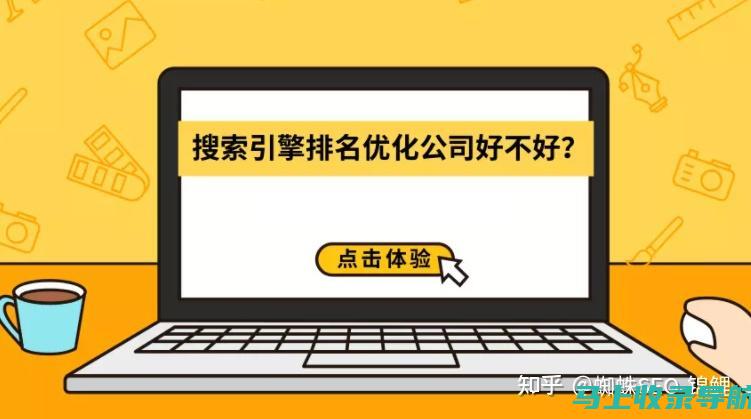 SEO高手心得分享：站长工具国产综合查询实战经验总结